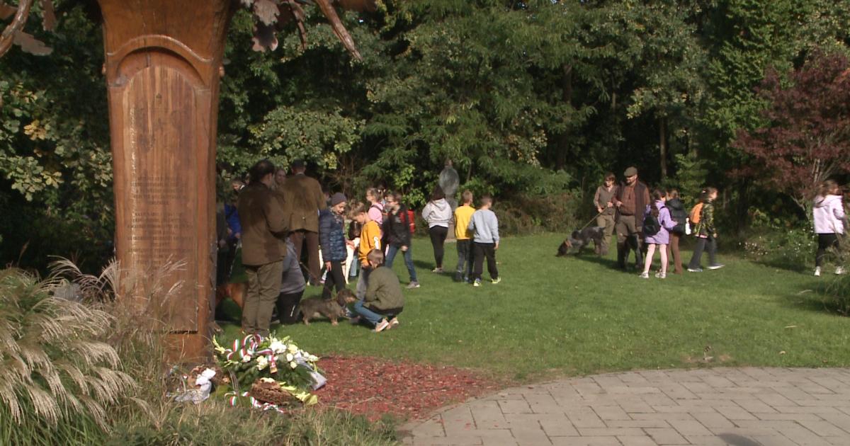 Minden út a Nagyerdőbe vezet: így telt a természet ünnepe Debrecenben – videóval